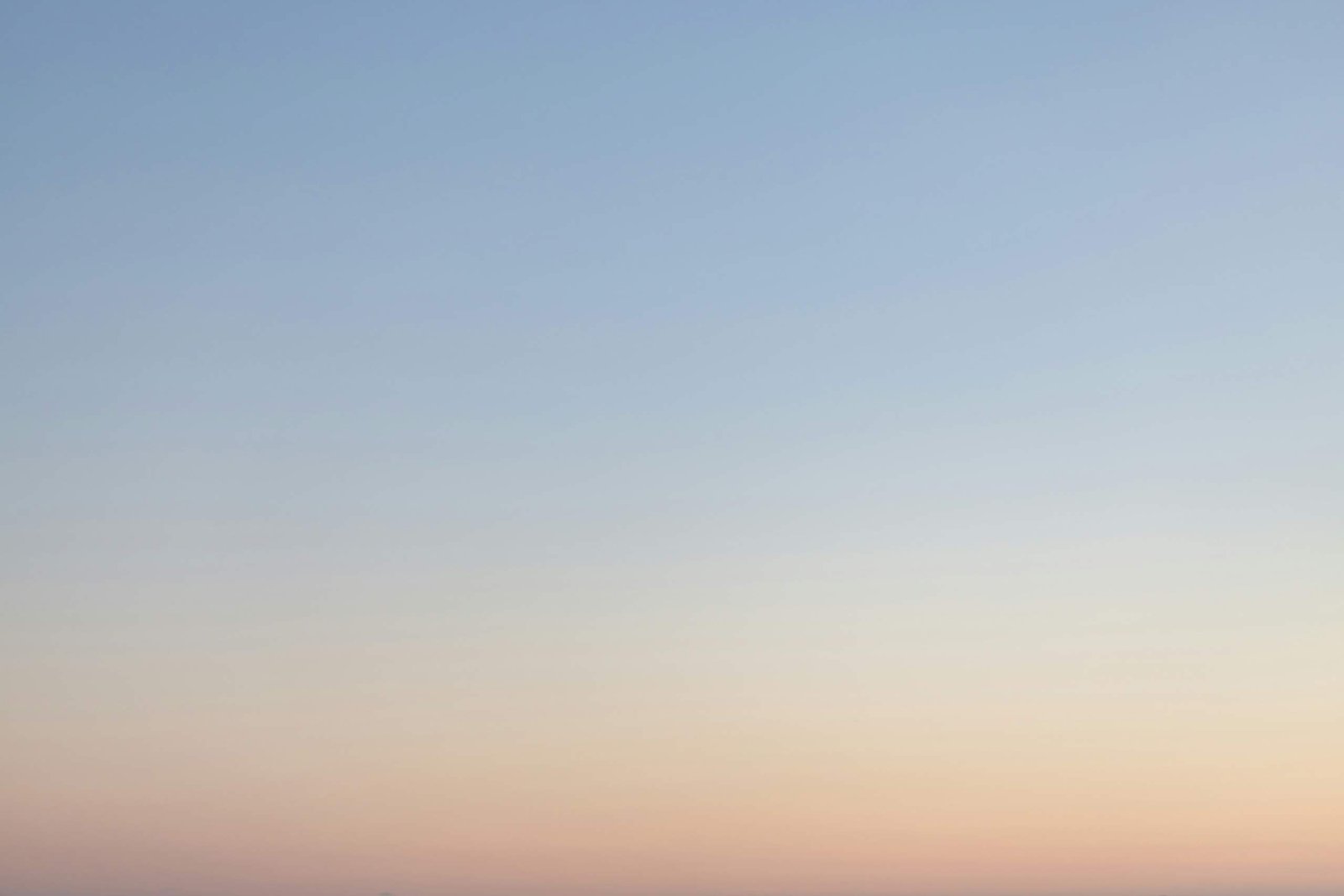 Datos bien puestos: calidad, sesgos y fugas (data leakage)